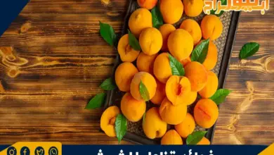 فوائد تناول المشمش 3 فوائد تناول المشمش