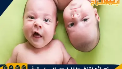 نصائح لتنشيط المبايض للحمل بتوأم بطرق طبيعية و بالأدوية 14 نصائح لتنشيط المبايض للحمل بتوأم بطرق طبيعية و بالأدوية