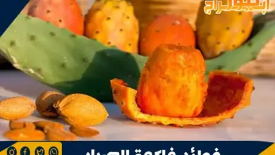 فوائد فاكهة الصبار والعناصر الغذائية في التين الشوكي 11 فوائد فاكهة الصبار والعناصر الغذائية في التين الشوكي