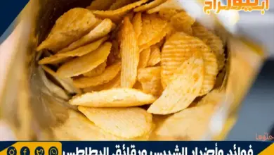 فوائد وأضرار الشيبس ورقائق البطاطس 13 فوائد وأضرار الشيبس ورقائق البطاطس