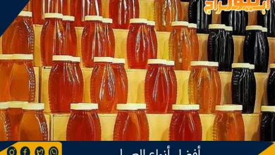 أفضل أنواع العسل