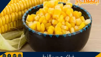 فوائد حبوب الذرة 12 فوائد حبوب الذرة