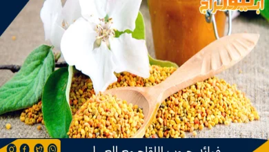 فوائد حبوب اللقاح مع العسل 12 فوائد حبوب اللقاح مع العسل