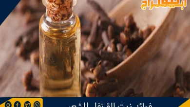 فوائد القرنفل وأهم استخداماته العلاجية 3 فوائد زيت القرنفل للشعر
