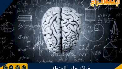 فوائد علم المنطق 5 فوائد علم المنطق