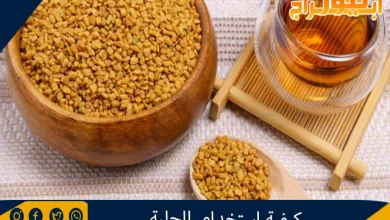 كيفية استخدام الحلبة 10 كيفية استخدام الحلبة