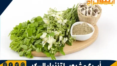 أسرع مشروب لتنزيل السكر في الدم: الحل الطبيعي للتحكم في مستويات الجلوكوز 8 أسرع مشروب لتنزيل السكر