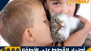 أضرار القطط على الأطفال: المخاطر الصحية والوقاية منها 2 أضرار القطط على الأطفال