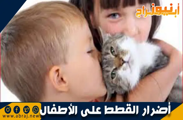 أضرار القطط على الأطفال