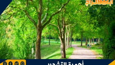أهمية التشجير في تحسين البيئة 8 أهمية التشجير في تحسين البيئة