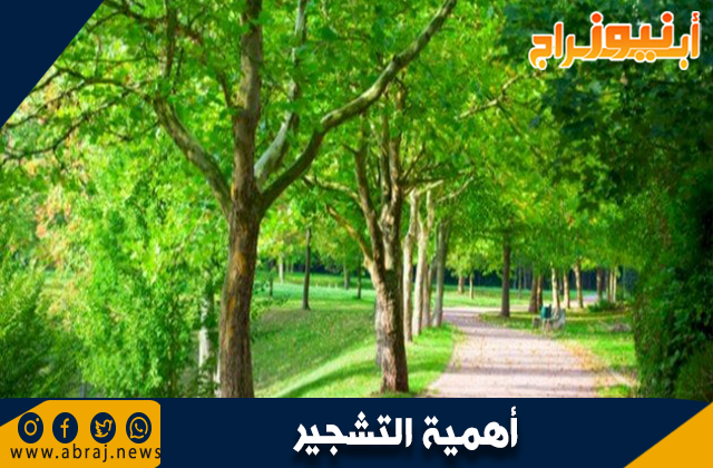 أهمية التشجير في تحسين البيئة 1 أهمية التشجير في تحسين البيئة