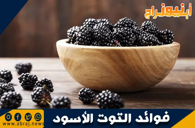 فوائد التوت الأسود