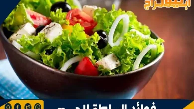 فوائد السلطة للجسم: غذاء متكامل لصحة أفضل 11 فوائد السلطة للجسم