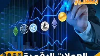 الاستثمار في العملات الرقمية: دليل شامل للمبتدئين والمحترفين 2 الاستثمار في العملات الرقمية