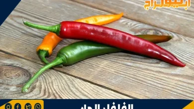 فوائد وأضرار الفلفل الحار: دليل شامل لصحتك 2 الفلفل الحار
