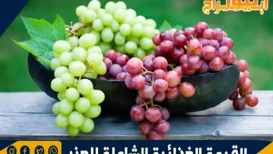 القيمة الغذائية الشاملة للعنب 3 القيمة الغذائية للعنب