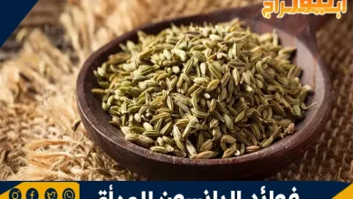 فوائد اليانسون للمرأة: مشروب طبيعي لصحة أفضل 8 فوائد اليانسون للمرأة