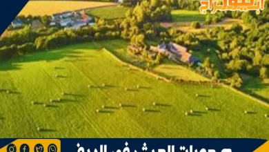 صعوبات العيش في الريف: تحديات الحياة بعيدًا عن المدن 6 صعوبات العيش في الريف