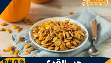 طرق استخدام حب القرع: الفوائد الصحية وأفضل الطرق للاستفادة منه 6 طرق استخدام حب القرع