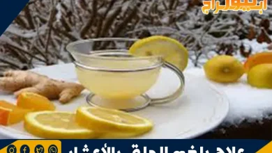 علاج بلغم الحلق بالأعشاب: طرق طبيعية للتخلص من البلغم بسرعة 10 علاج بلغم الحلق