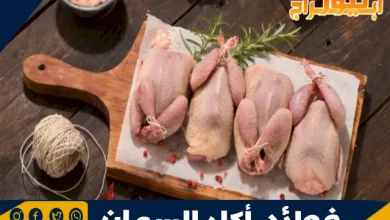 فوائد أكل السمان: غذاء صحي ومتوازن 12 فوائد أكل السمان
