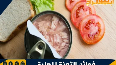 فوائد التونة المعلبة: غذاء متكامل وصحي 4 فوائد التونة المعلبة