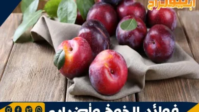 فوائد الخوخ وأضراره: الفاكهة اللذيذة بين الصحة والمخاطر 2 فوائد الخوخ الصحية