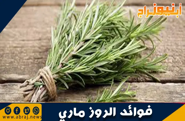 فوائد الروز ماري