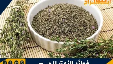 فوائد الزعتر للجسم