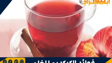 فوائد الكركديه المغلي: مشروب صحي بمزايا مذهلة 9 فوائد الكركديه المغلي