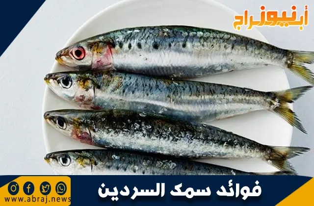 فوائد سمك السردين