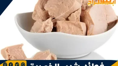 فوائد شرب الخميرة: غذاء صحي ومتعدد الفوائد 7 فوائد شرب الخميرة