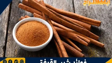 فوائد شرب القرفة: كنز صحي بين يديك 2 فوائد شرب القرفة