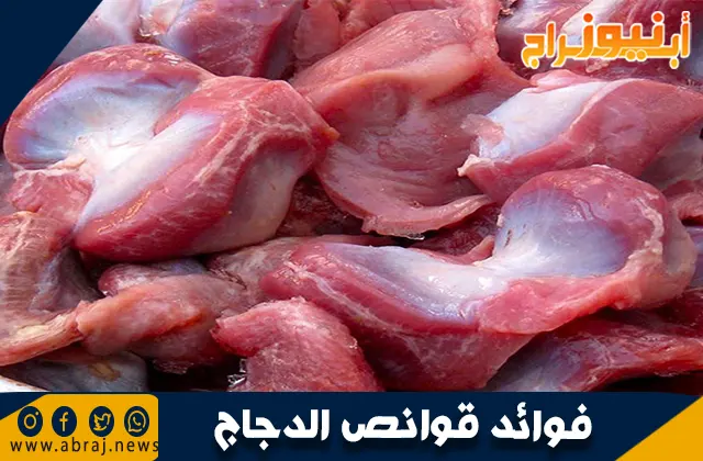 فوائد قوانص الدجاج