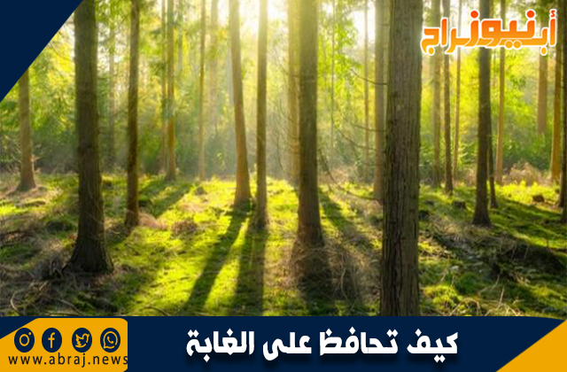 كيف تحافظ على الغابة