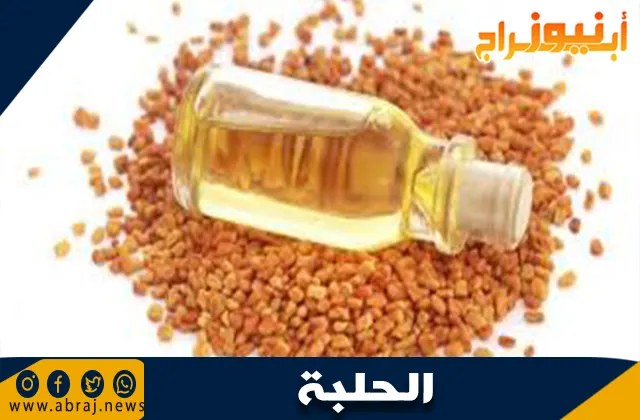طرق استخدام الحلبة