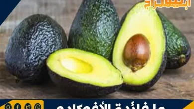 فوائد الأفوكادو: الفاكهة الخارقة لصحتك وجمالك 3 فوائد الأفوكادو
