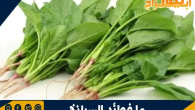فوائد السبانخ