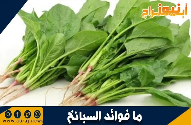 فوائد السبانخ