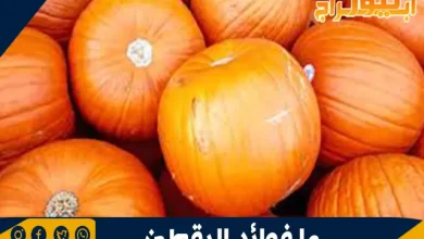 فوائد اليقطين