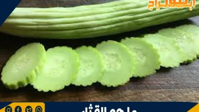 ما هو القثاء: فوائده الصحية وقيمته الغذائية 10 ما هو القثاء