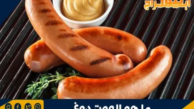 ما هو الهوت دوغ 2 ما هو الهوت دوغ