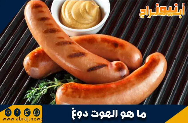 ما هو الهوت دوغ
