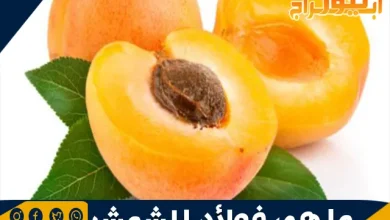 ما هي فوائد المشمش 2 فوائد المشمش