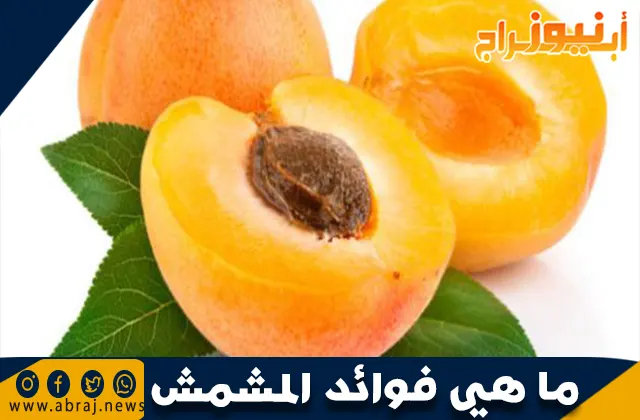 فوائد المشمش
