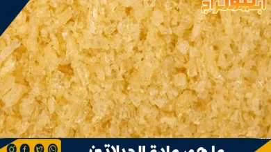 مادة الجيلاتين