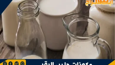 مكونات حليب البقر