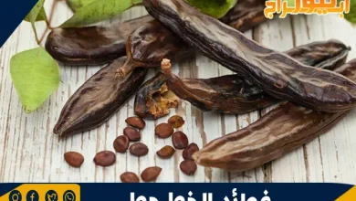فوائد عشبة الخوا جوا