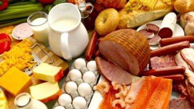 بعض فوائد الغذاء: سر الصحة والحياة المتوازنة 11 بعض فوائد الغذاء