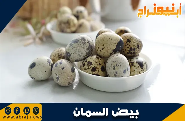 فوائد بيض السمان